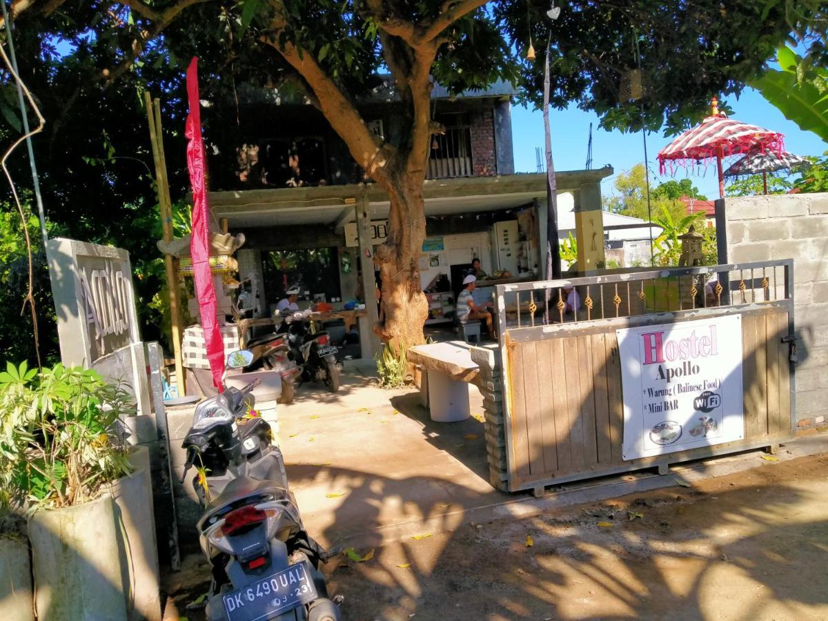 Lovina Apollo Hostel מראה חיצוני תמונה