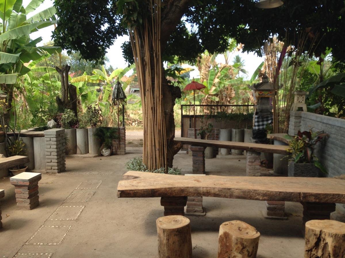 Lovina Apollo Hostel מראה חיצוני תמונה